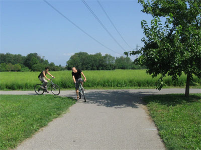 Ciclisti in mezzo all'ambrosia