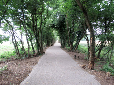 Sentiero ecologico al Meredo