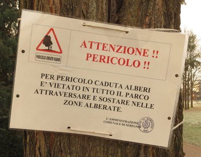 Caduta alberi