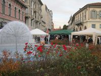 Monza - Ministeri della lotta