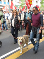 Milano - Occupy piazza Affari. I cani del corteo
