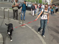Milano - Occupy piazza Affari. I cani del corteo