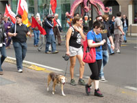 Milano - Occupy piazza Affari. I cani del corteo