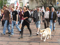 Milano - Occupy piazza Affari. I cani del corteo