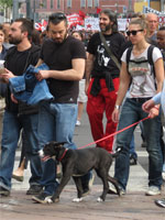 Milano - Occupy piazza Affari. I cani del corteo