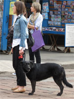 Milano - Occupy piazza Affari. I cani del corteo