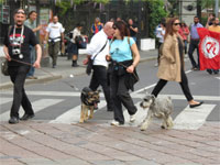 Milano - Occupy piazza Affari. I cani del corteo