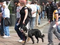Milano - Occupy piazza Affari.
			