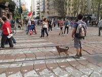 Milano - Occupy piazza Affari.
			