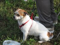 Desio - No Pedemontana