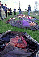 Bodies at the site of the massacre--- more ethnic Albanian victims of the NATO 'mistake.'