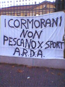 Cormorani